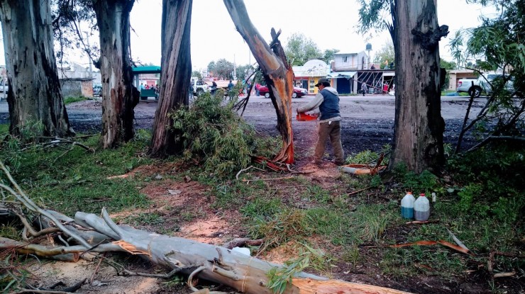 Rápido accionar del Municipio ante los daños causados por la tormenta